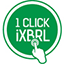 iXBRL Feature