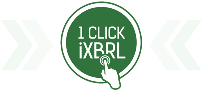 iXBRL